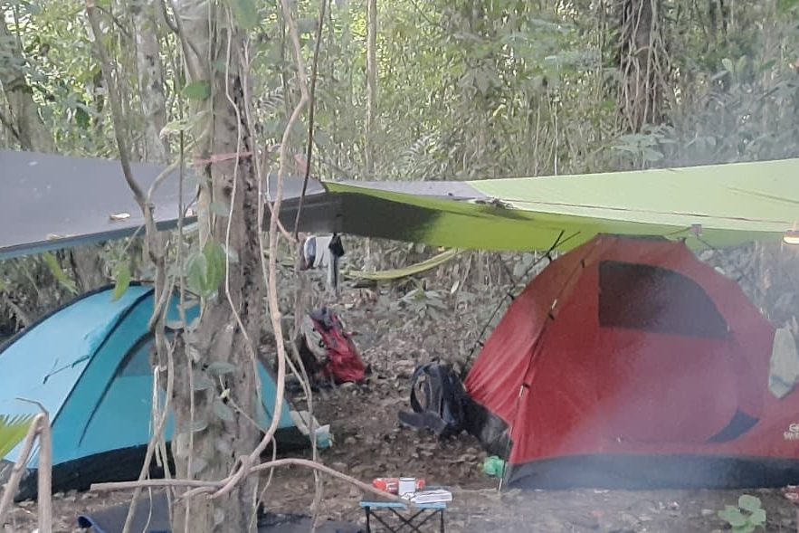 Tarps and tents making camp in the forest