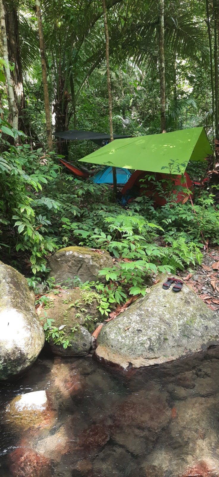 Campsite beside the stream, under the canopy